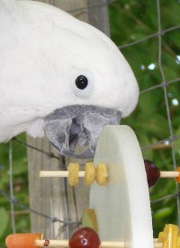 Lunch on the Round